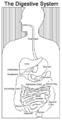 Thumbnail for version as of 15:27, 15 June 2007