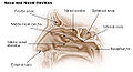 Thumbnail for version as of 02:58, 10 May 2010