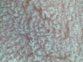 Thumbnail for version as of 06:14, 20 March 2017