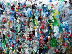 Plastic bottles.jpg
