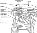 Thumbnail for version as of 23:09, 25 June 2007