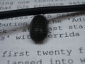 Woodlouse and text.