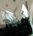 Thumbnail for version as of 22:27, 15 December 2009