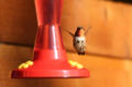 Thumbnail for version as of 22:02, 21 January 2007