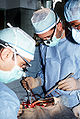Thumbnail for version as of 09:48, 18 November 2011
