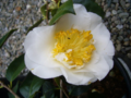 Thumbnail for version as of 19:36, 19 May 2013