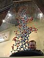 The giant DNA exhibit.