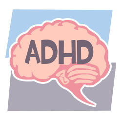 ADHD in brain.jpg