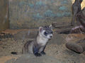 Thumbnail for version as of 01:26, 3 December 2008