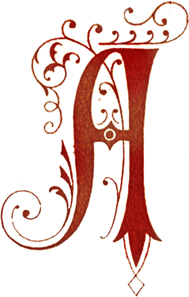 File:Lettera wingsofwhimsy.png