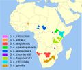 Thumbnail for version as of 04:07, 24 March 2014