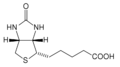 Biotin structure.png