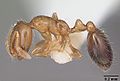 Thumbnail for version as of 05:48, 12 December 2012