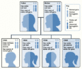Thumbnail for version as of 12:31, 30 April 2008