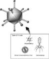 Thumbnail for version as of 19:53, 24 May 2007