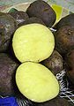 Andean black potato (S. tuberosum)