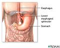 Thumbnail for version as of 20:26, 27 April 2008