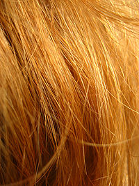 Redhead Hair.jpg