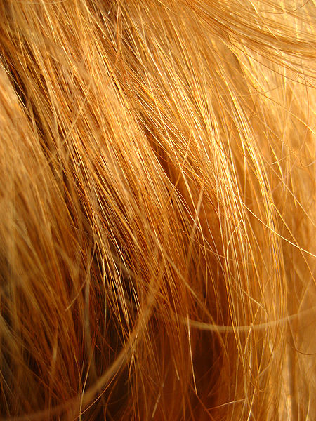 File:Redhead Hair.jpg