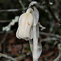 Thumbnail for version as of 03:04, 24 May 2012