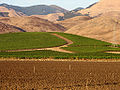 Thumbnail for version as of 05:16, 23 April 2009