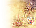 Thumbnail for version as of 04:57, 26 October 2009