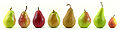 Thumbnail for version as of 04:42, 24 April 2009