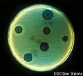 Methicillin-resistant Staphylococcus (aureus)