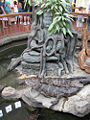 Chinese alligator (A. sinensis) Subtaxa:name