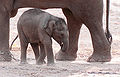 Thumbnail for version as of 22:34, 8 February 2010