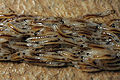 Thumbnail for version as of 05:16, 1 December 2009