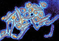 Thumbnail for version as of 23:34, 1 November 2012