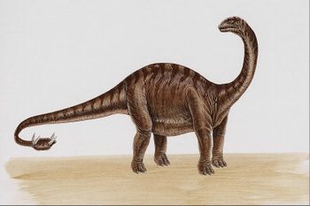 Dino.JPG