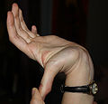 Thumbnail for version as of 14:18, 31 January 2012