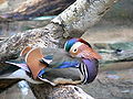 Thumbnail for version as of 16:39, 11 January 2012