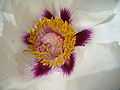 Thumbnail for version as of 05:10, 7 June 2012