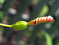 Thumbnail for version as of 15:28, 19 May 2010