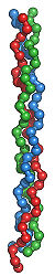 Collagen triple helix.jpg