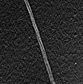 Neptune ring arc