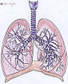 Thumbnail for version as of 00:15, 10 February 2013