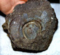 Thumbnail for version as of 14:08, 19 October 2013