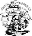 Миниатюра для версии от 18:50, 24 октября 2009