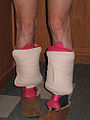 Thumbnail for version as of 07:28, 8 March 2010