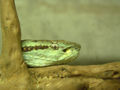 Thumbnail for version as of 06:01, 4 January 2008