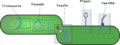 Thumbnail for version as of 14:36, 3 October 2019