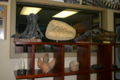 DINO Creation Museum inside.