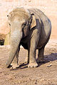 Thumbnail for version as of 07:27, 4 March 2010