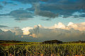 Thumbnail for version as of 05:15, 25 May 2009