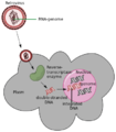 Thumbnail for version as of 20:00, 9 November 2013