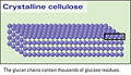 Thumbnail for version as of 22:53, 16 July 2008